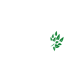 M-landscaping