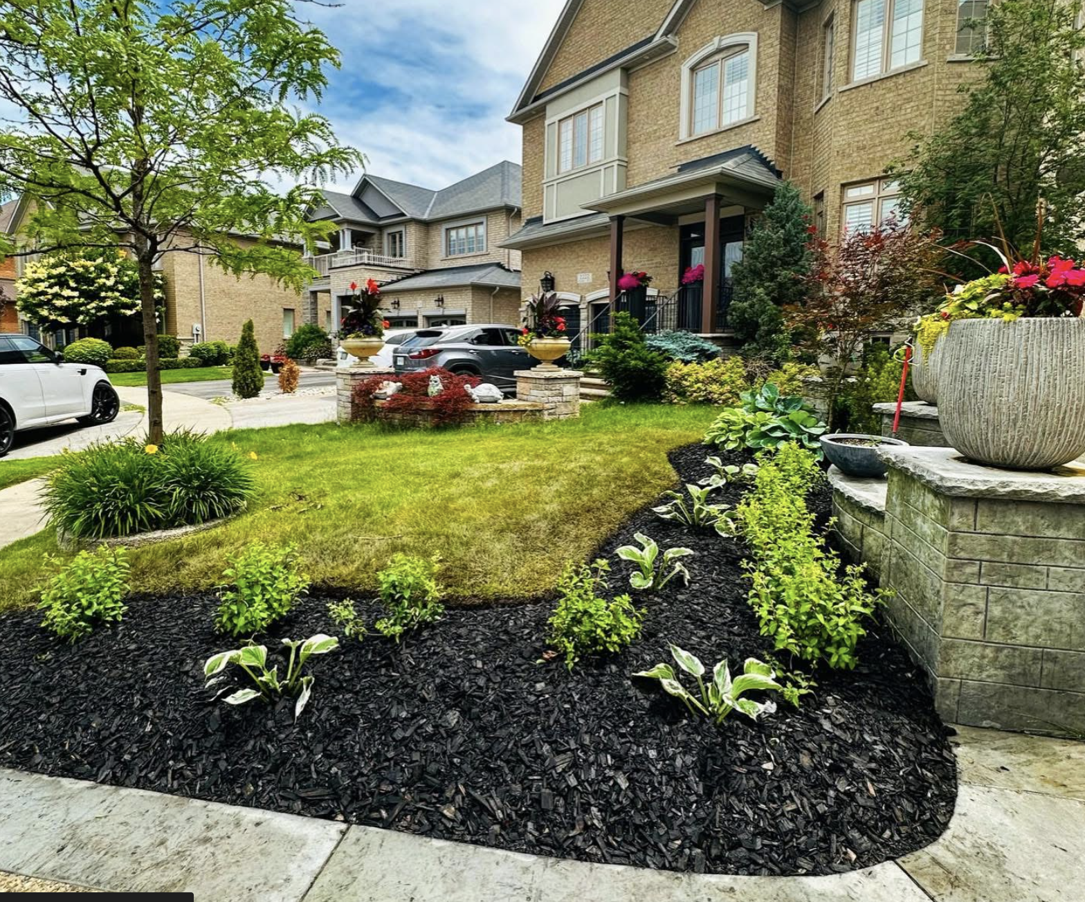 Finished planting and garden bed project by M Landscaping
